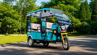 Move Stone Passenger E Rickshaw