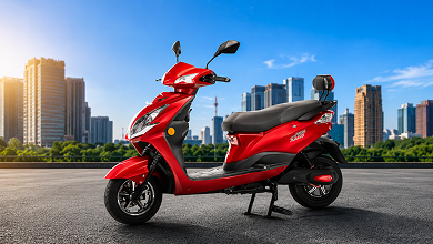 Joy e bike Gen Next Nanu Plus