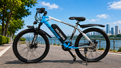 Voltebyk Eco Lit Plus Electric Cycle